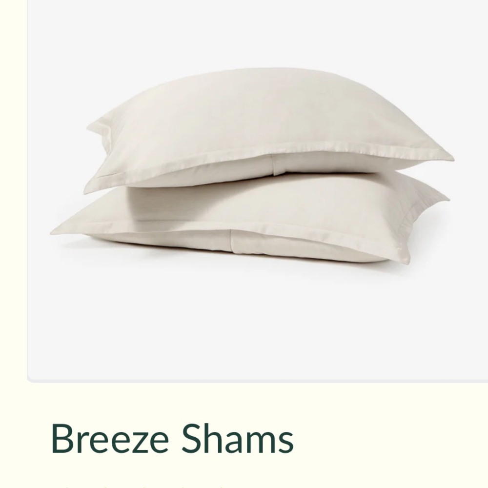 Buffy Breeze king shams in Seashell